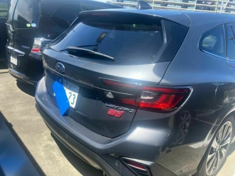 LEVORG