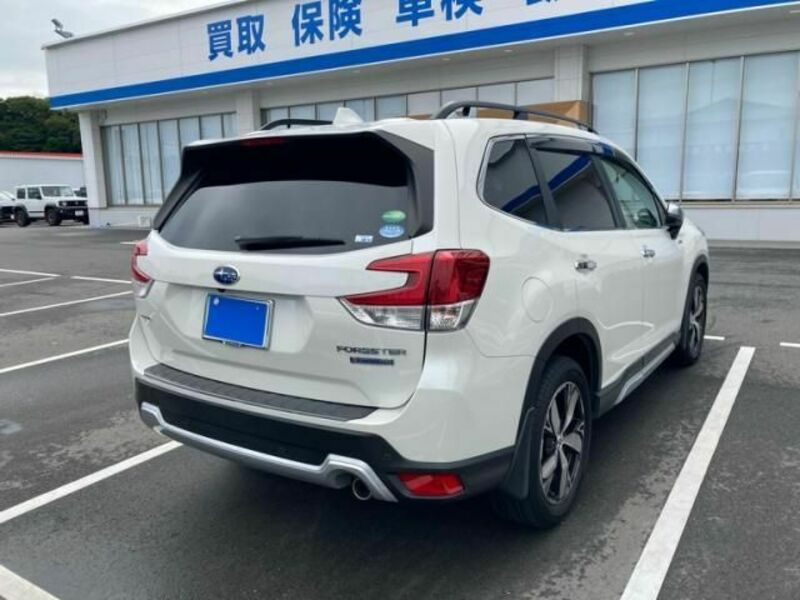 FORESTER