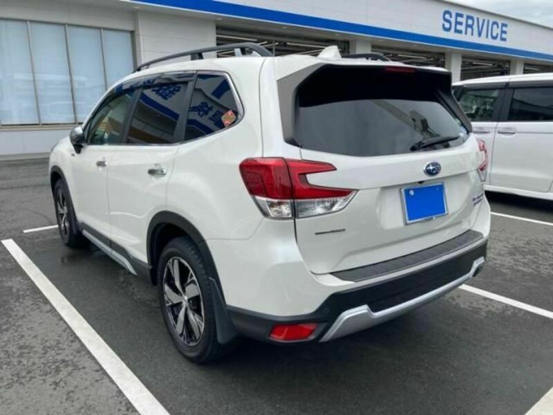 FORESTER