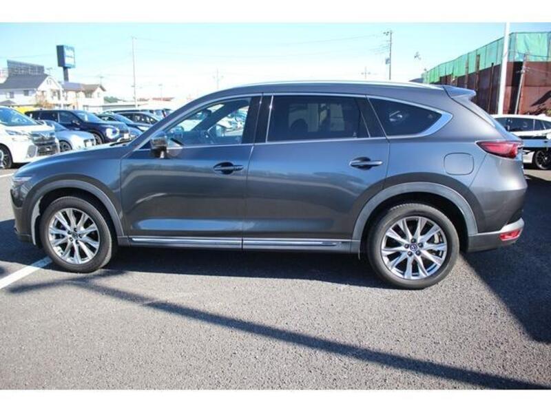 CX-8
