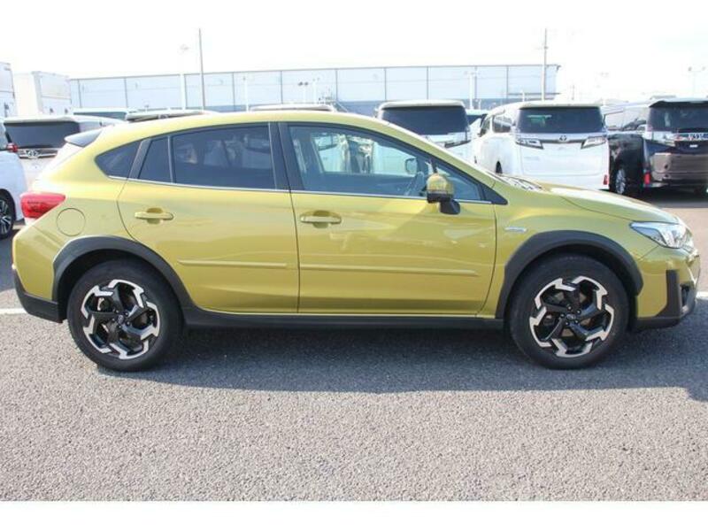 XV