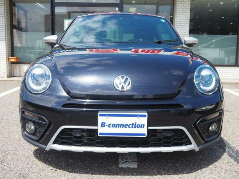 THE BEETLE