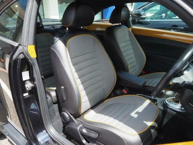 THE BEETLE