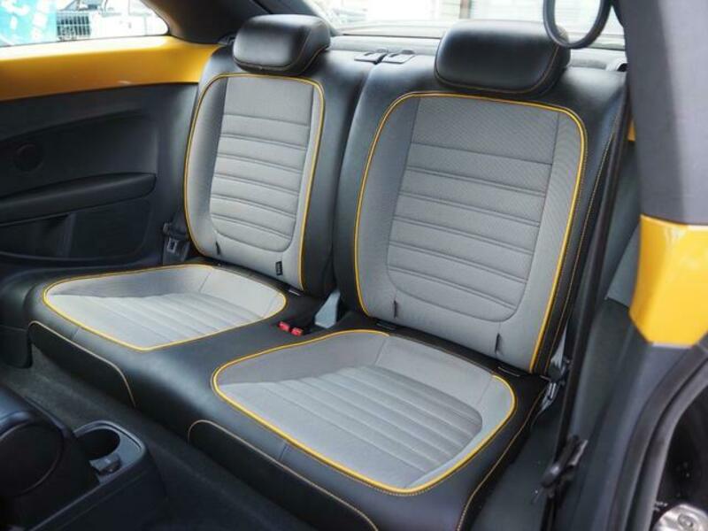 THE BEETLE