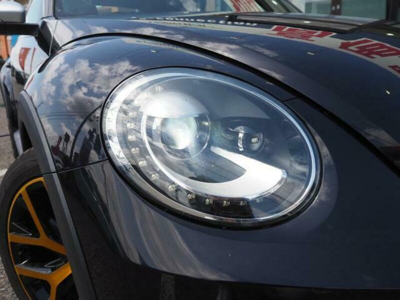 THE BEETLE