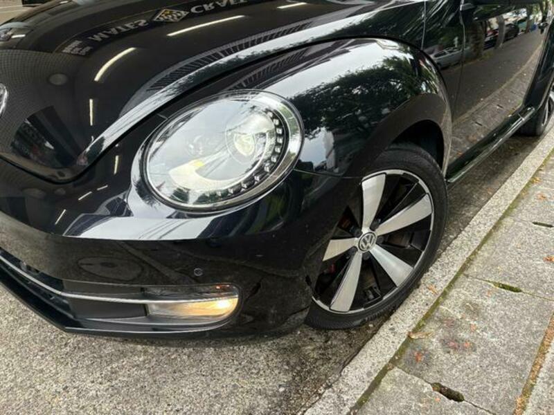 THE BEETLE