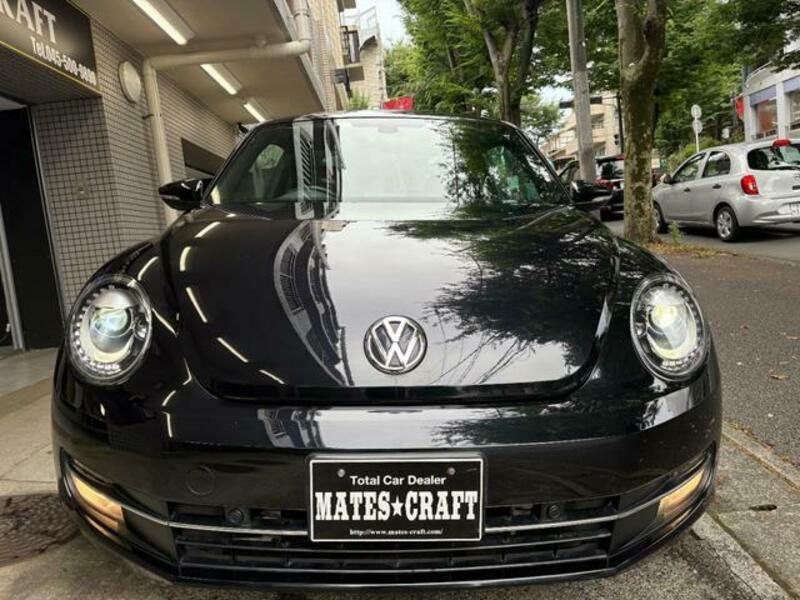 THE BEETLE