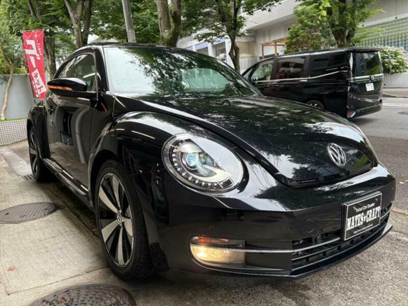 THE BEETLE