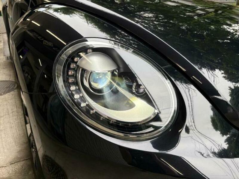 THE BEETLE
