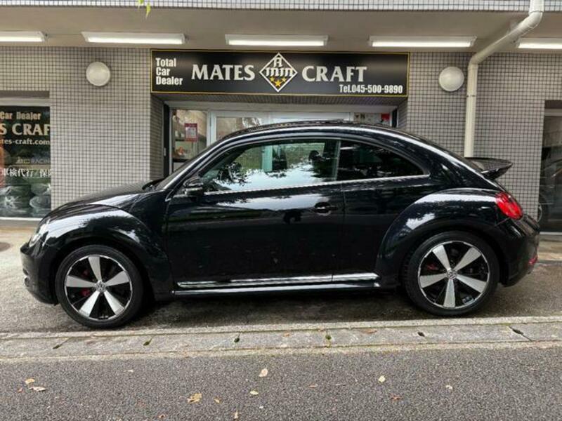 THE BEETLE