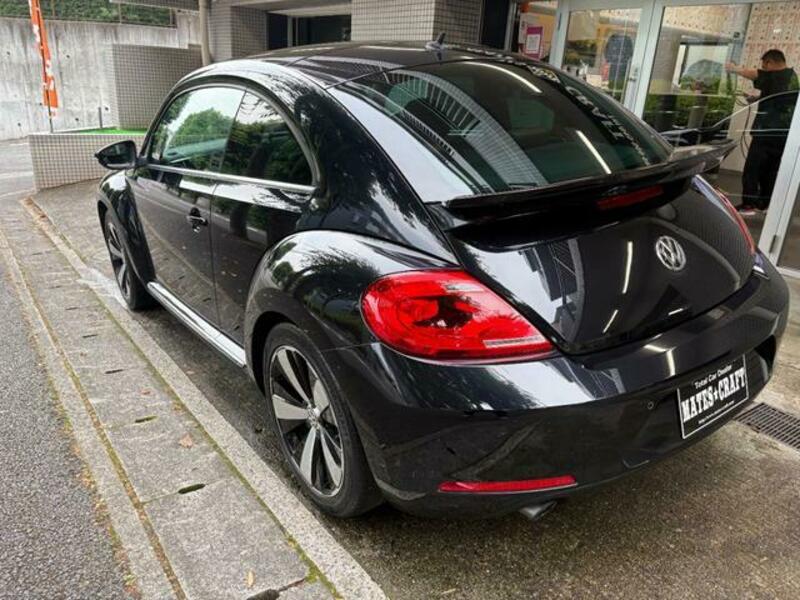 THE BEETLE