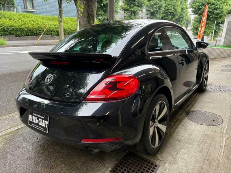 THE BEETLE
