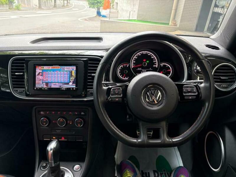 THE BEETLE