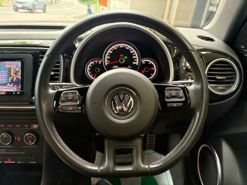 THE BEETLE