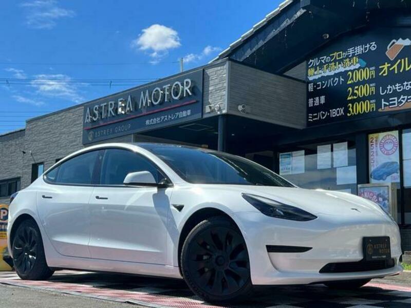MODEL 3