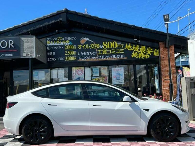 MODEL 3