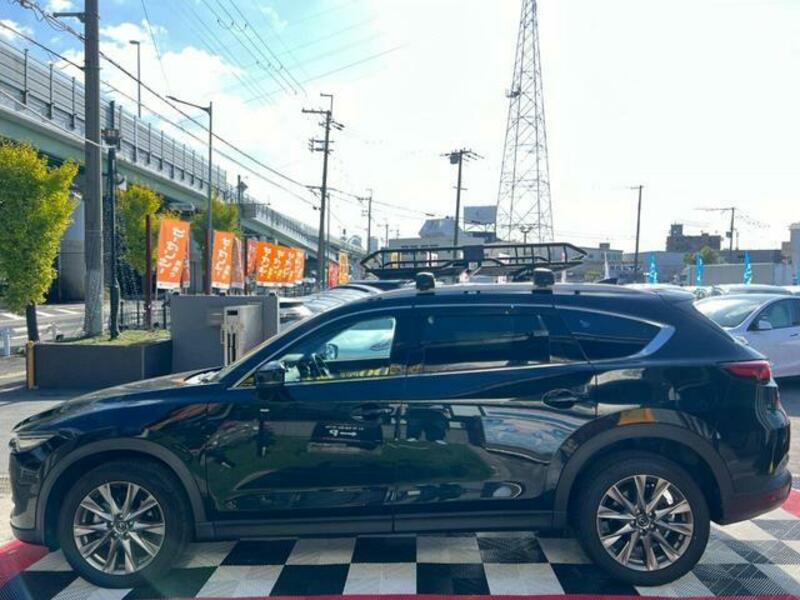 CX-8