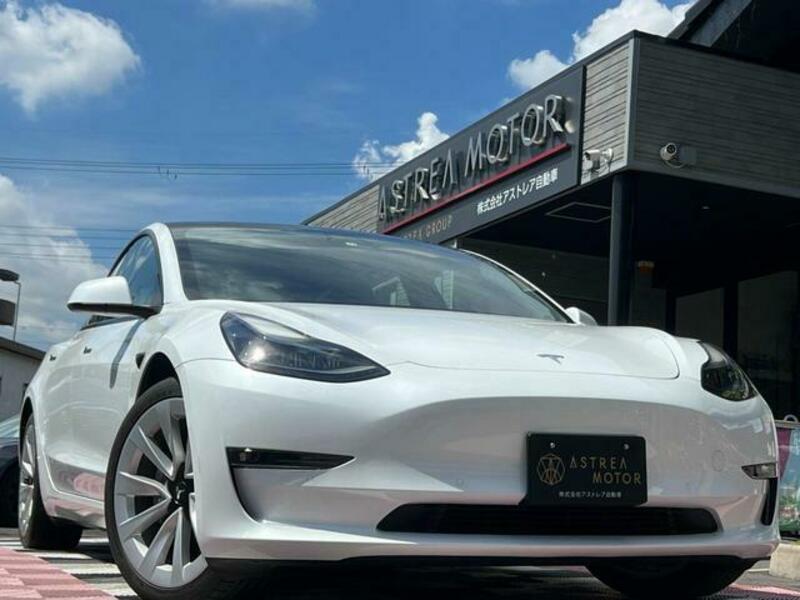 MODEL 3