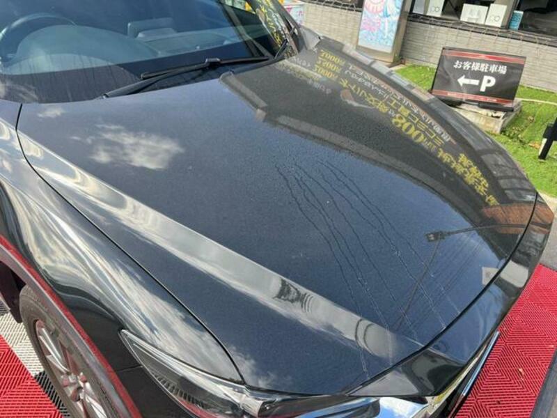 CX-8