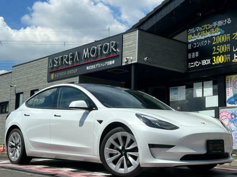 MODEL 3
