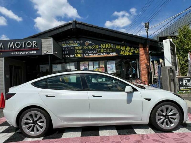 MODEL 3