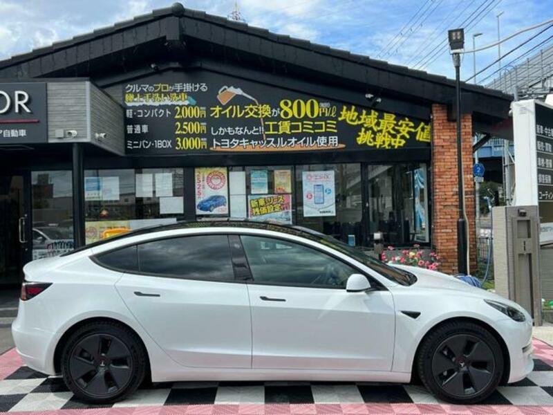 MODEL 3