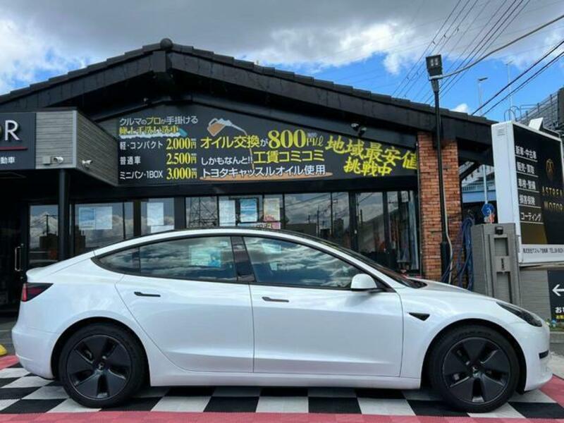 MODEL 3