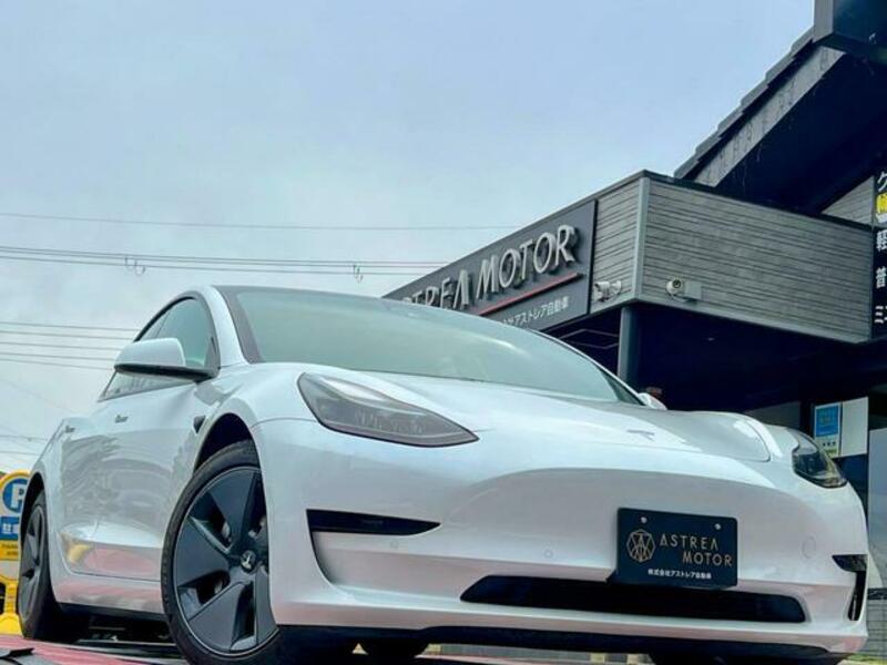 MODEL 3