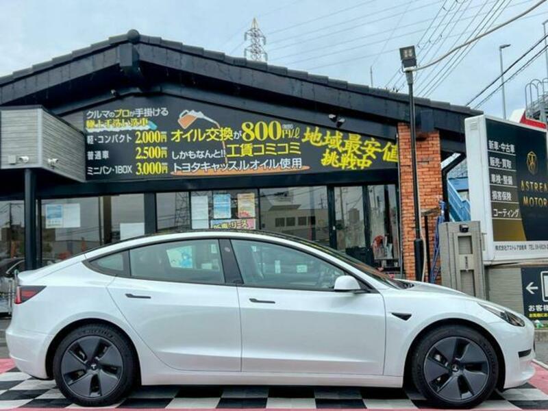 MODEL 3