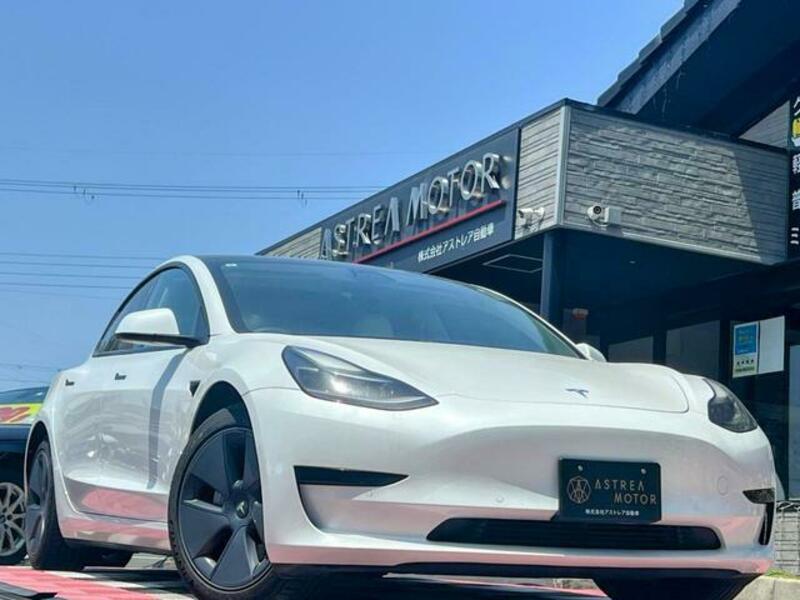MODEL 3