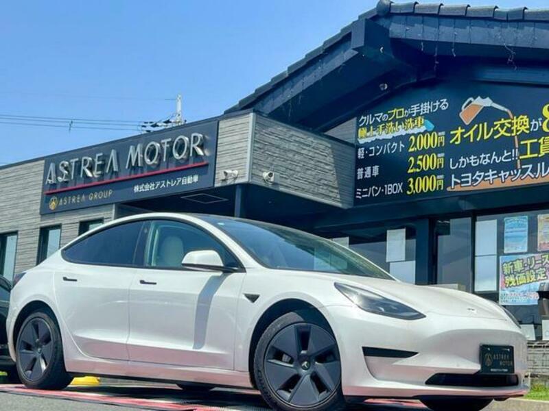 MODEL 3