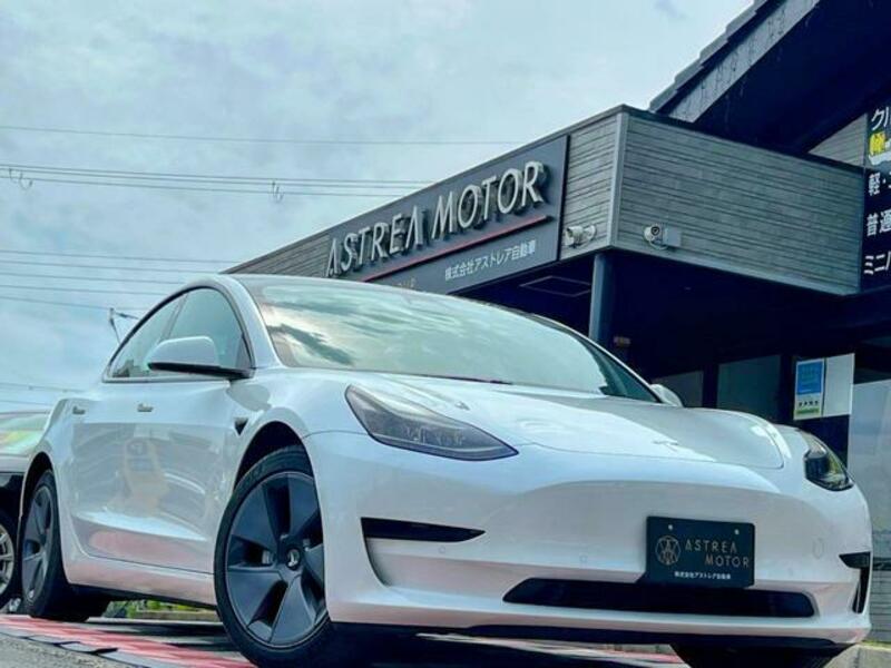 MODEL 3