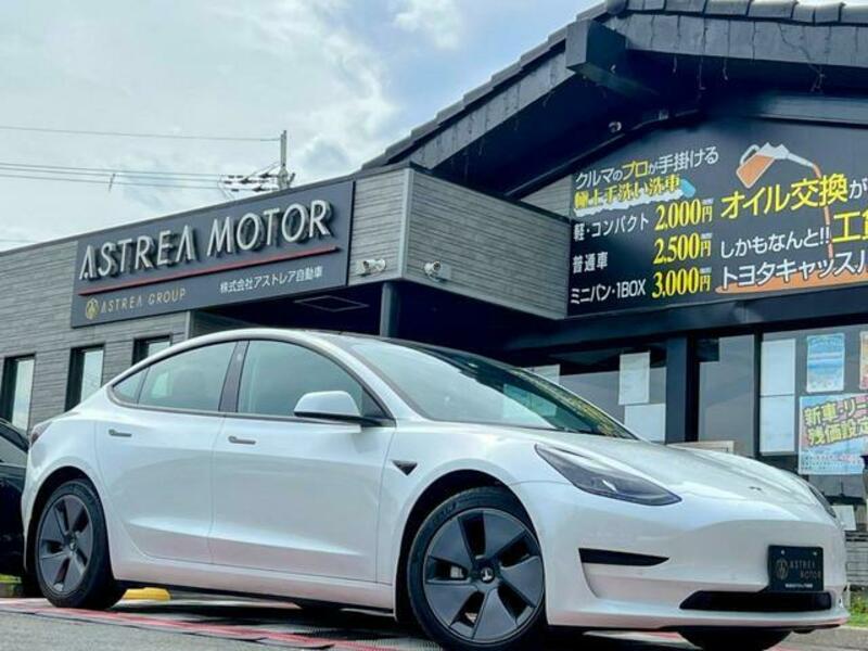 MODEL 3