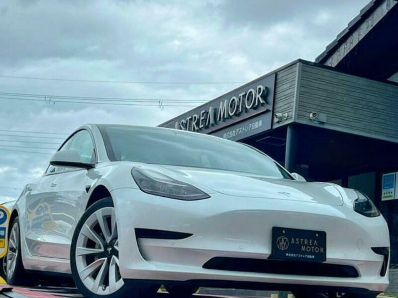 MODEL 3