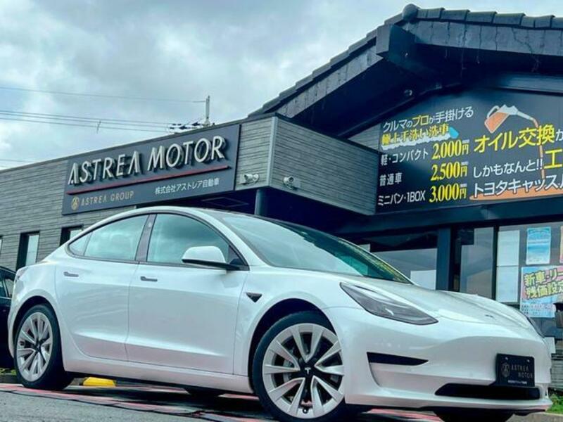 MODEL 3