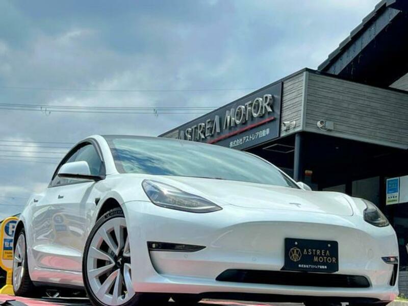 MODEL 3