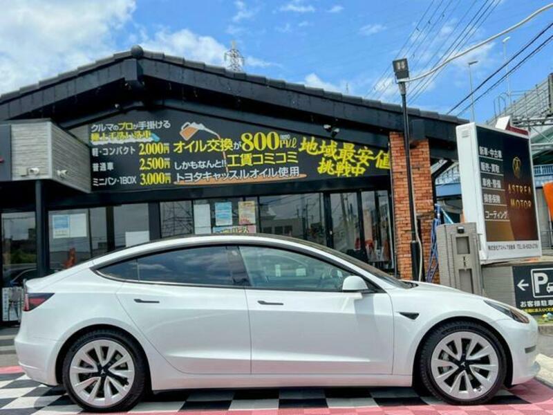 MODEL 3
