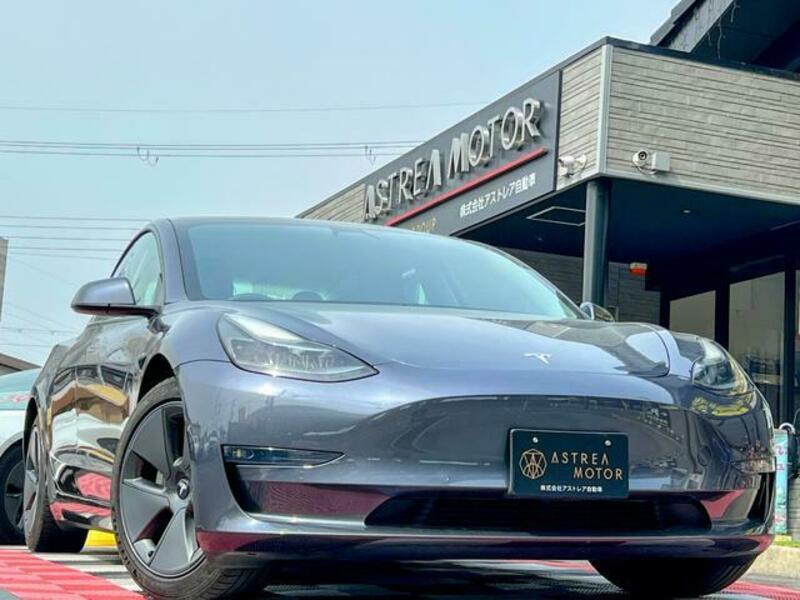 MODEL 3