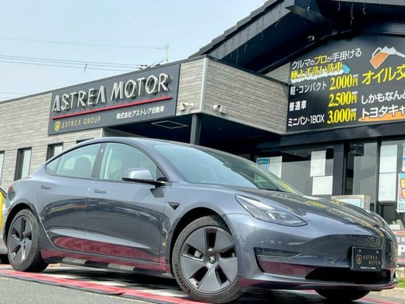 MODEL 3