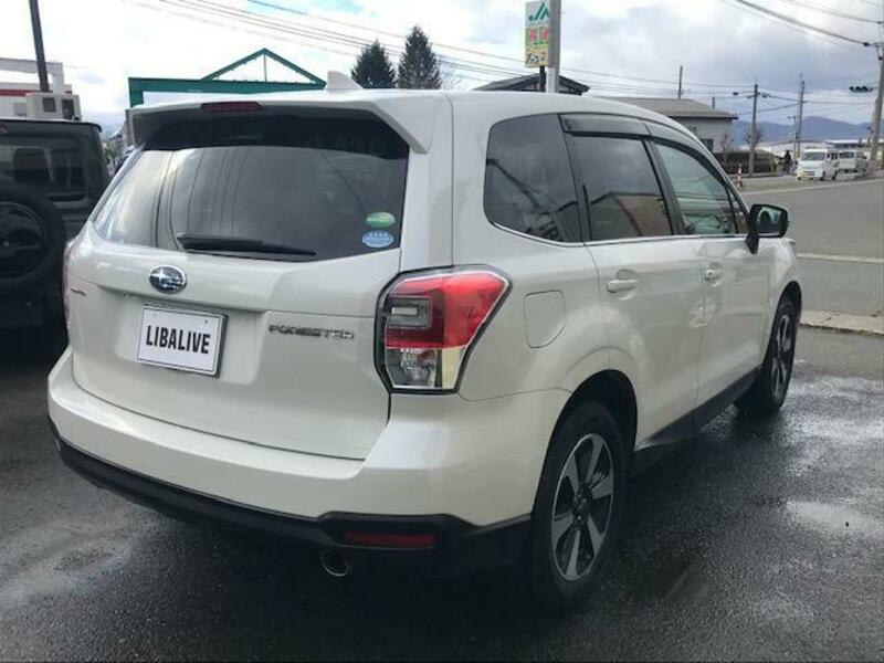 FORESTER