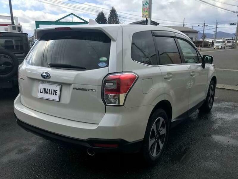 FORESTER