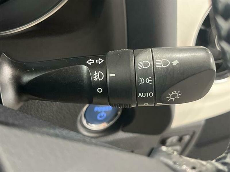 AURIS