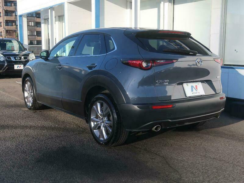 CX-30