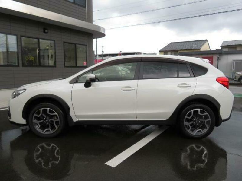 XV