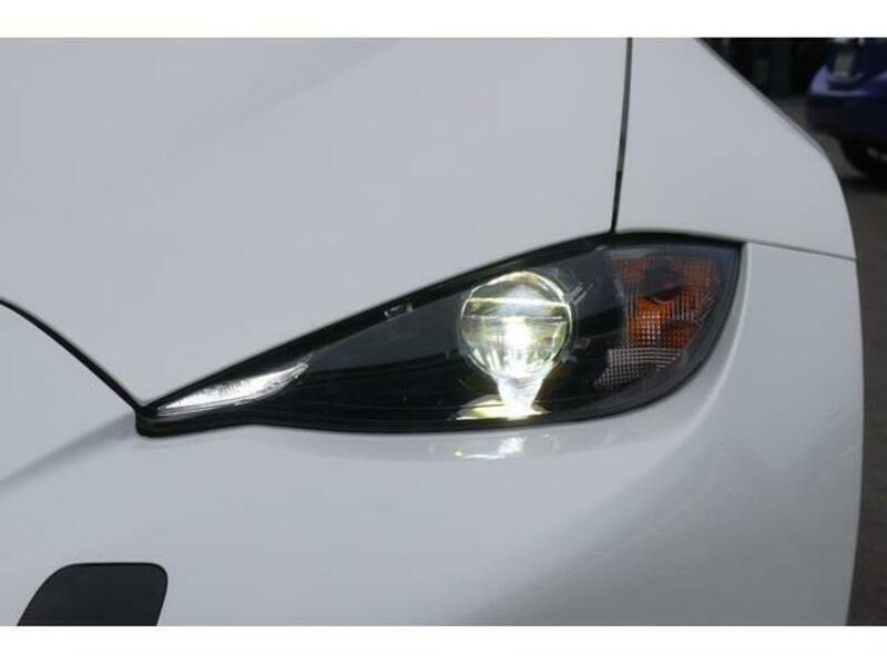 ROADSTER RF