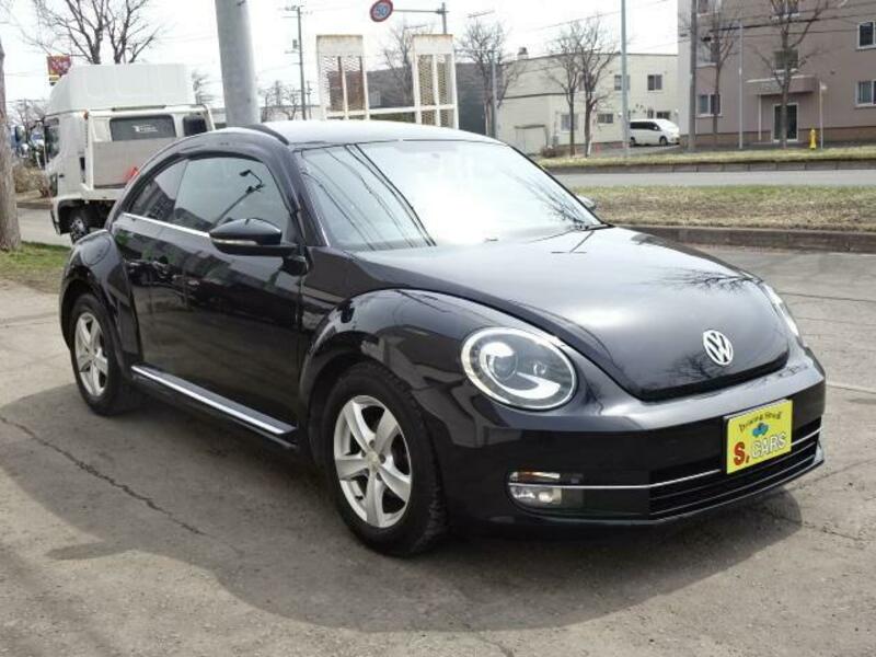 THE BEETLE