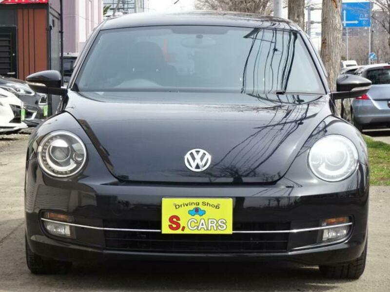 THE BEETLE
