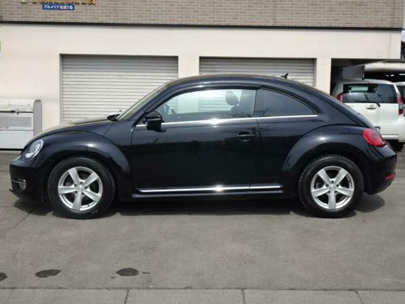 THE BEETLE
