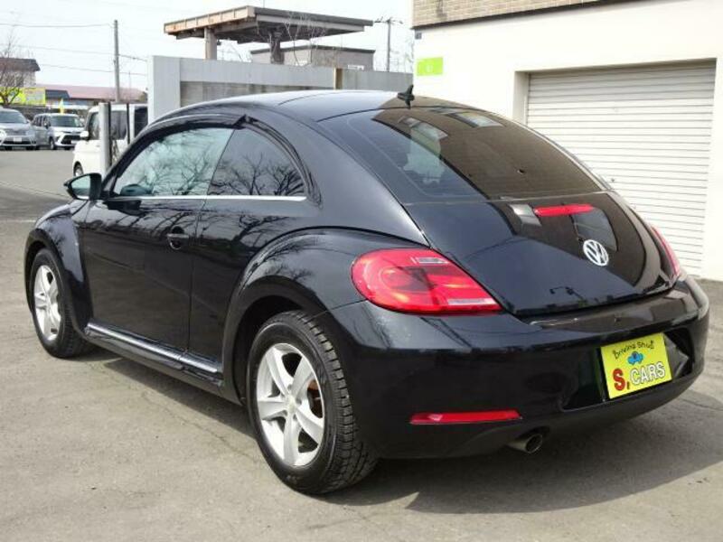 THE BEETLE
