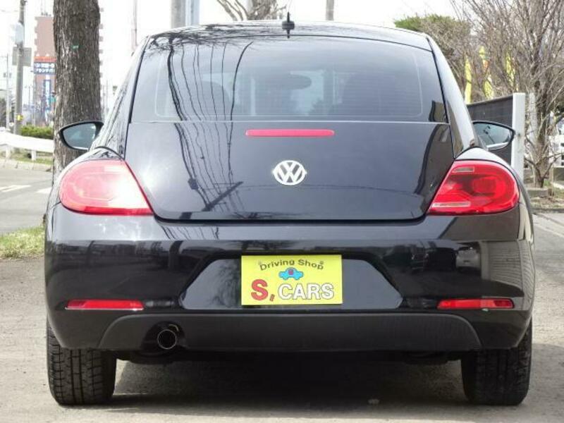 THE BEETLE
